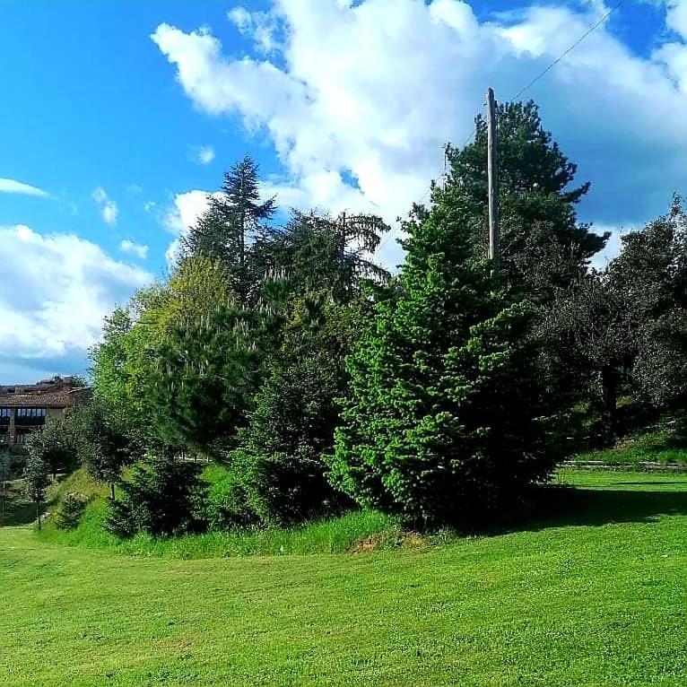 Mas Cal Sastre Landhuis Sant Hilari Sacalm